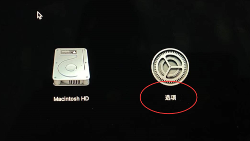 恢复模式选项