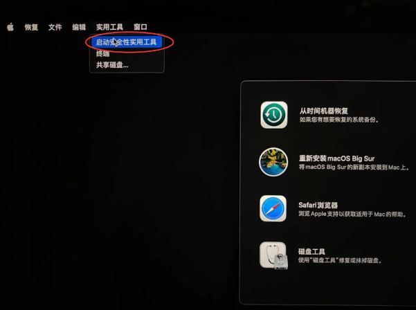 启用安全性实用工具