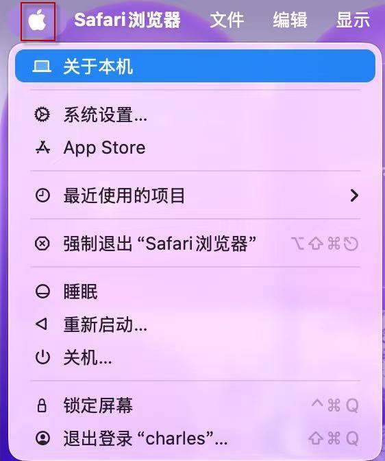 苹果菜单